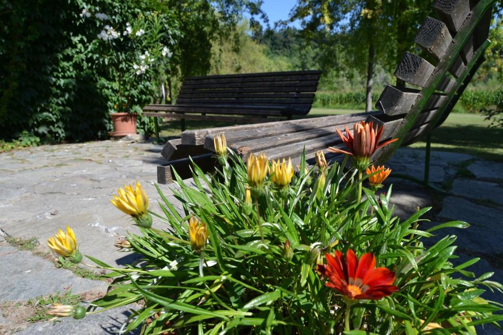 Trattoria Vecchio Mulino Panzió Niella Tanaro Kültér fotó
