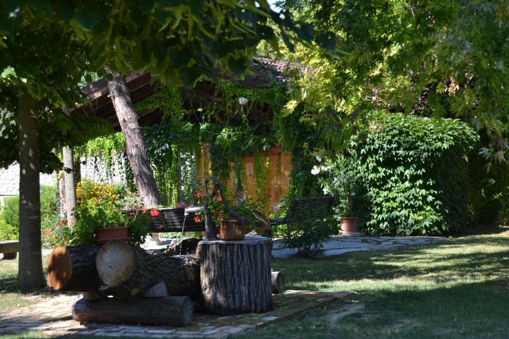 Trattoria Vecchio Mulino Panzió Niella Tanaro Kültér fotó