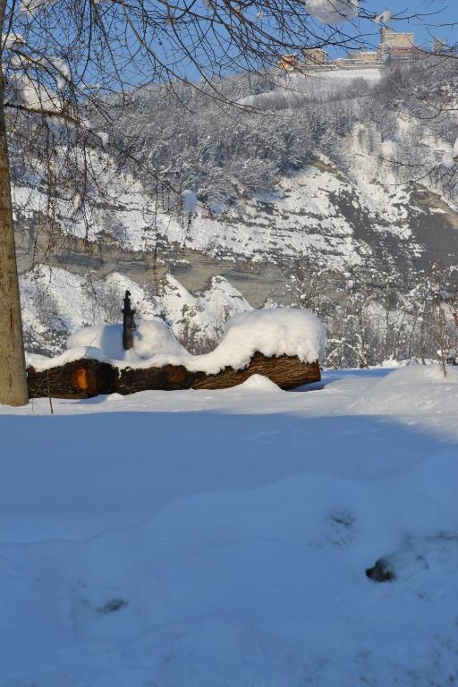 Trattoria Vecchio Mulino Panzió Niella Tanaro Kültér fotó
